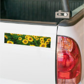 Zonnebloemen Bumpersticker (Op Truck)