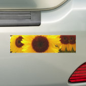 Zonnebloemen Bumpersticker (Op auto)