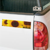 Zonnebloemen Bumpersticker (Op Truck)
