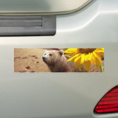 Zonnebloemen Bumpersticker van Beer (Op auto)
