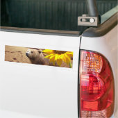 Zonnebloemen Bumpersticker van Beer (Op Truck)