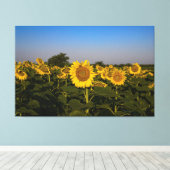 Zonnebloemen Canvas Afdruk (Insitu (Houten vloer))
