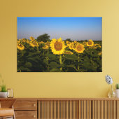 Zonnebloemen Canvas Afdruk (Insitu (Woonkamer))