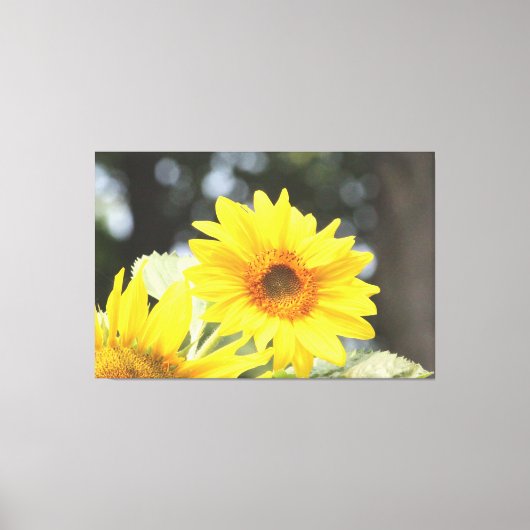 Zonnebloemen Canvas Afdruk (Voorkant)