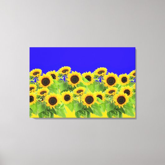 Zonnebloemen Canvasprint Canvas Afdruk (Voorkant)