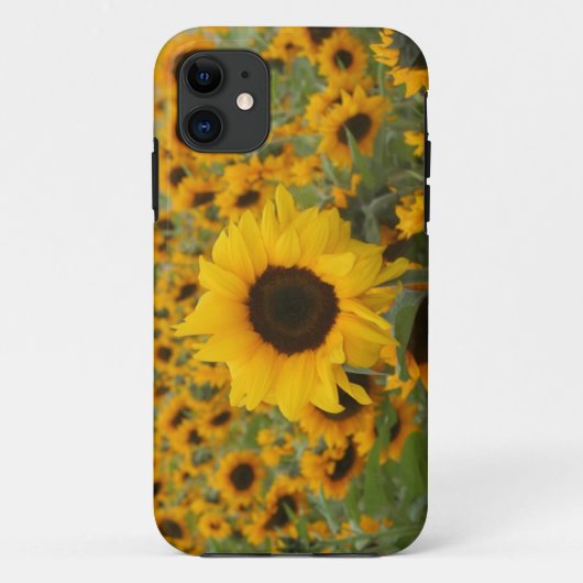 Zonnebloemen Case-Mate iPhone Case (Achterkant)
