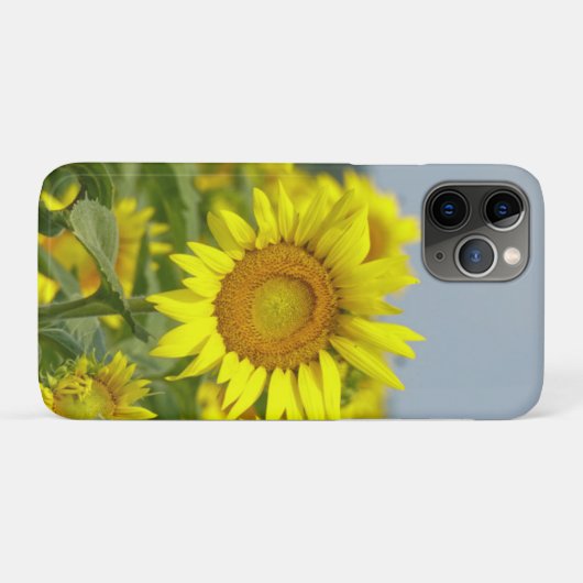 Zonnebloemen Case-Mate iPhone Case (Achterkant (horizontaal))