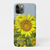 Zonnebloemen Case-Mate iPhone Case (Achterkant)