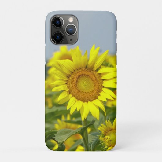 Zonnebloemen Case-Mate iPhone Case (Achterkant)