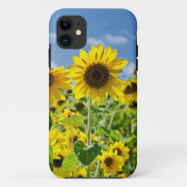 Zonnebloemen iPhone 11 Hoesje
