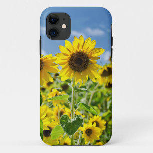 Zonnebloemen iPhone 11 Hoesje