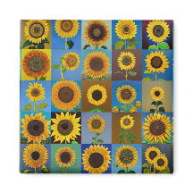 Zonnebloemen collage