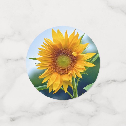 Zonnebloemen Confetti (Kleine voorkant)