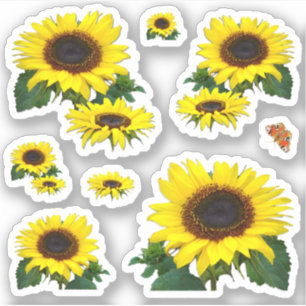 Zonnebloemen Contour Sticker