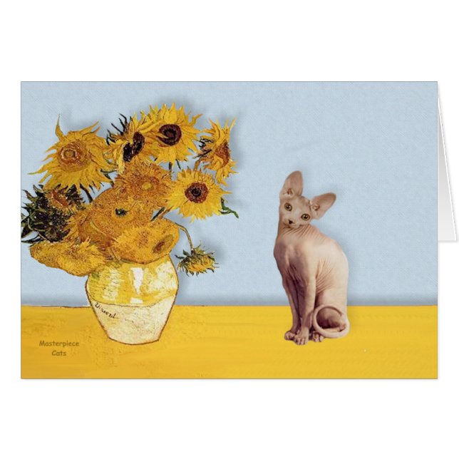 Zonnebloemen - Cream Sphyx kat (Voorkant Horizontaal)