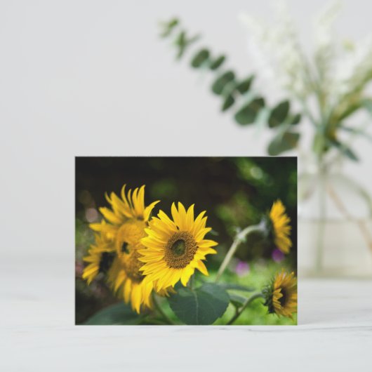 zonnebloemen die de zon opblazen. briefkaart (Staand voorkant)