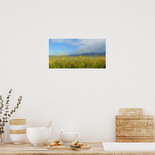 Zonnebloemen, Dunes & Mountains, Colorado Poster (Keuken)