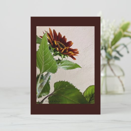 Zonnebloemen, eenvoudige briefkaart, handgeschreve kaart (Staand voorkant)