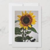 Zonnebloemen, eenvoudige briefkaart, handgeschreve kaart (Voorkant)