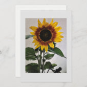 Zonnebloemen, eenvoudige briefkaart, handgeschreve kaart (Voorkant / Achterkant)