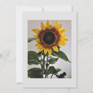 Zonnebloemen, eenvoudige briefkaart, handgeschreve kaart