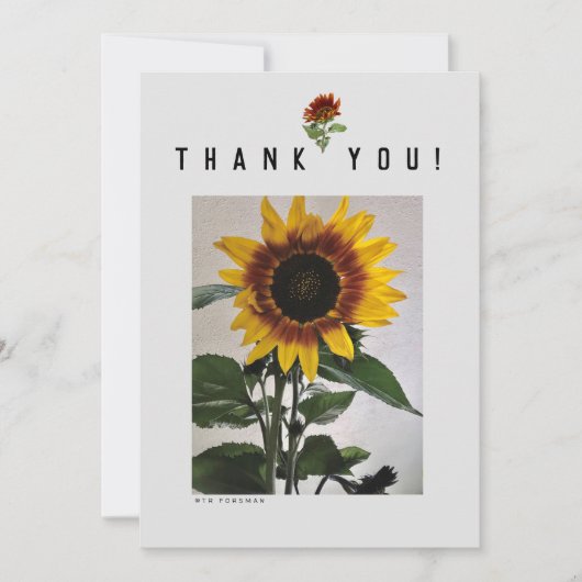 Zonnebloemen eenvoudige notitiekaart  81724 kaart (Voorkant)