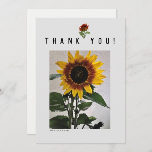 Zonnebloemen eenvoudige notitiekaart  81724 kaart (Voorkant / Achterkant)