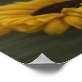 Zonnebloemen en Chocolade Havanese Puppy door Hava Poster (Hoek)