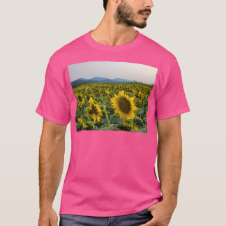 Zonnebloemen en de Blue Ridge Active T-shirt