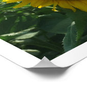 Zonnebloemen en gebergten poster (Hoek)