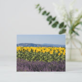 Zonnebloemen en lavenbloemen briefkaart (Staand voorkant)