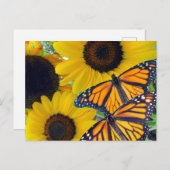 Zonnebloemen en Monarch Butterflies Briefkaart (Voorkant / Achterkant)