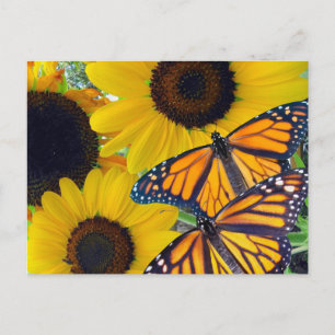 Zonnebloemen en Monarch Butterflies Briefkaart