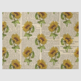 Zonnebloemen en  ontkoppeling van krantenpapier tissuepapier