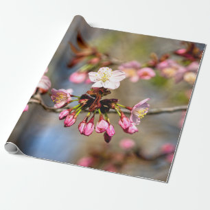 zonnebloemen en Paarse knoppen, vers Cadeaupapier