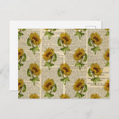 Zonnebloemen en springveren briefkaart (Voorkant / Achterkant)