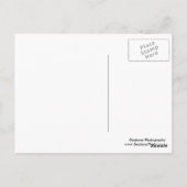 Zonnebloemen en tractoren briefkaart (Achterkant)