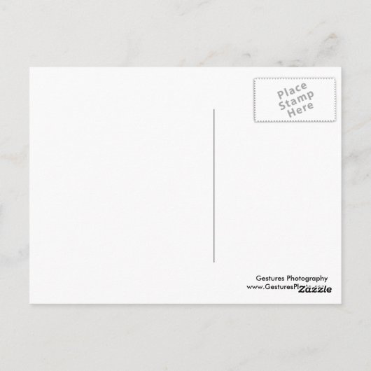 Zonnebloemen en tractoren briefkaart (Achterkant)