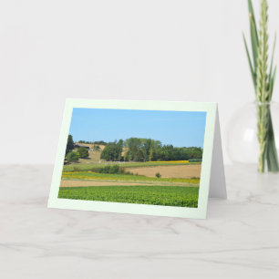 Zonnebloemen en wijnstokken feestdagen kaart