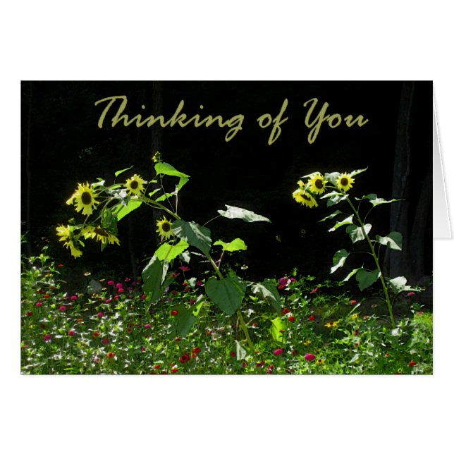 Zonnebloemen en wilde bloemen (Voorkant Horizontaal)