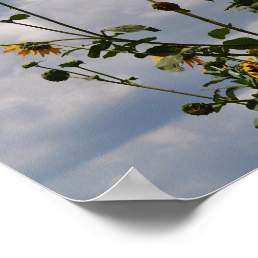 Zonnebloemen en wolken Bijbelvers Art Poster (Hoek)