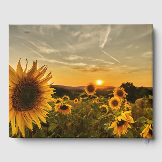 Zonnebloemen en zonnebloemen | In het liefdevol ge Gastenboek (Achterkant)