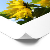 Zonnebloemen en zonnezonne-Poster Poster (Hoek)