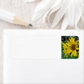 Zonnebloemen Etiket (Insitu)