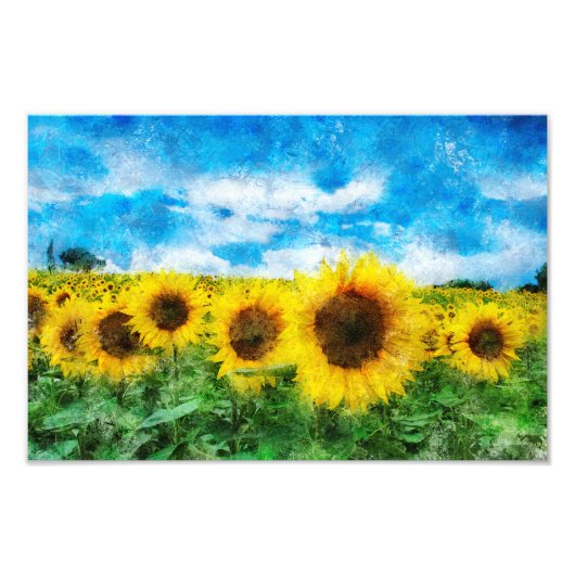 Zonnebloemen Foto Afdruk (Voorkant)