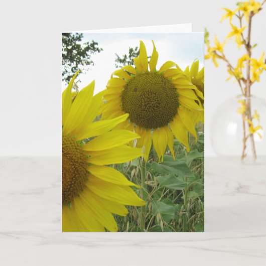 Zonnebloemen Foto Wenskaart, Standaard Kaart (Gele Bloem)