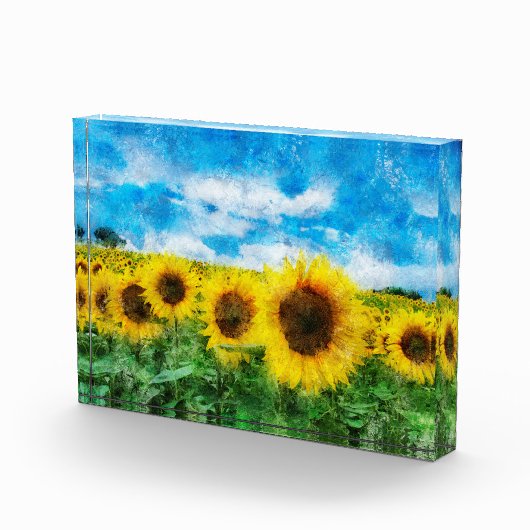 Zonnebloemen Fotoblokken (Rechts)