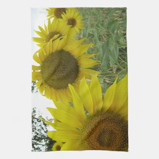 Zonnebloemen Fotodoeken 40,6 x 61 cm Theedoek (Verticaal)