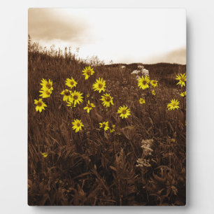 Zonnebloemen Fotoplaat