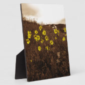 Zonnebloemen Fotoplaat (Zijkant)